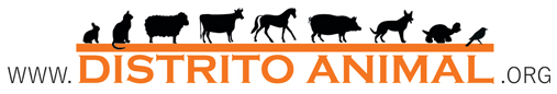 Distrito Animal